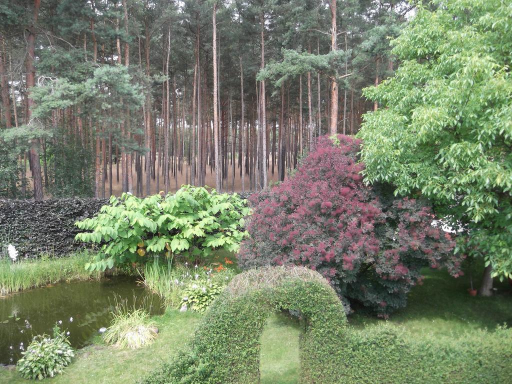 Amselgarten Lübben Екстериор снимка