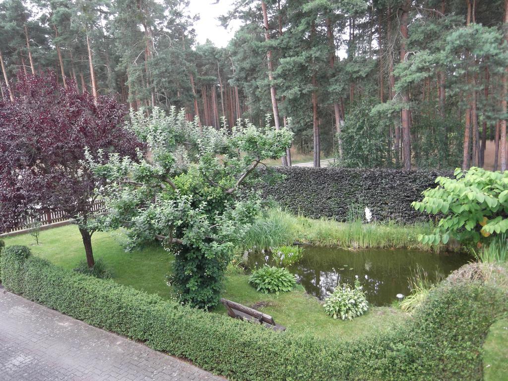 Amselgarten Lübben Екстериор снимка