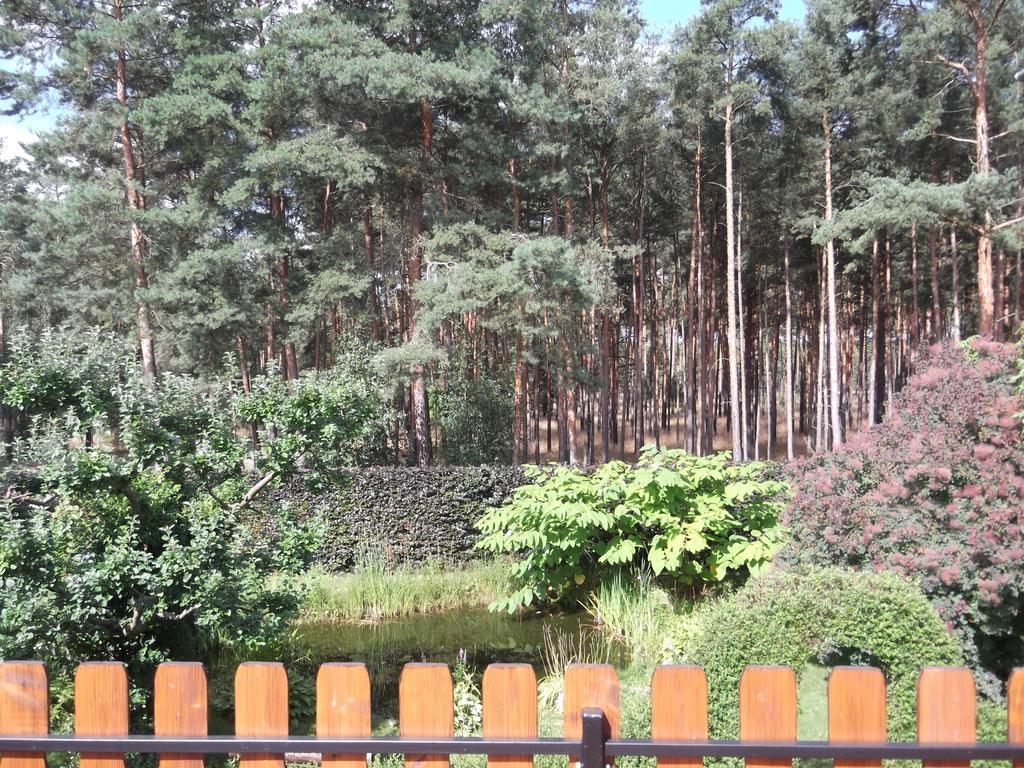 Amselgarten Lübben Екстериор снимка